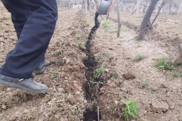 生物有机肥怎么合理使用,可采用撒施法、条状沟施法等
