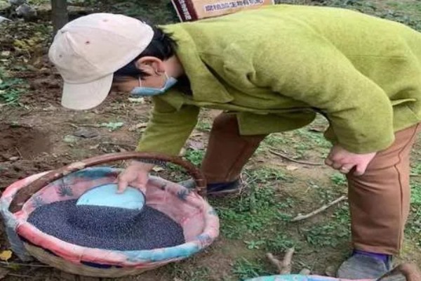 生物有机肥怎么合理使用,可采用撒施法、条状沟施法等