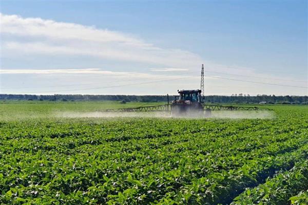 抗除草剂大豆是转基因植物吗,属于转基因作物