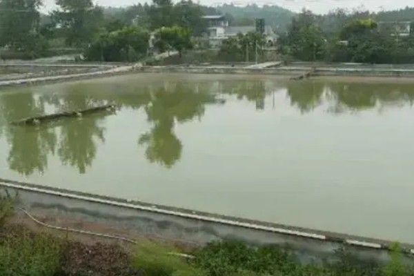 甲鱼的生活环境介绍,喜爱生活在水库、湖泊等