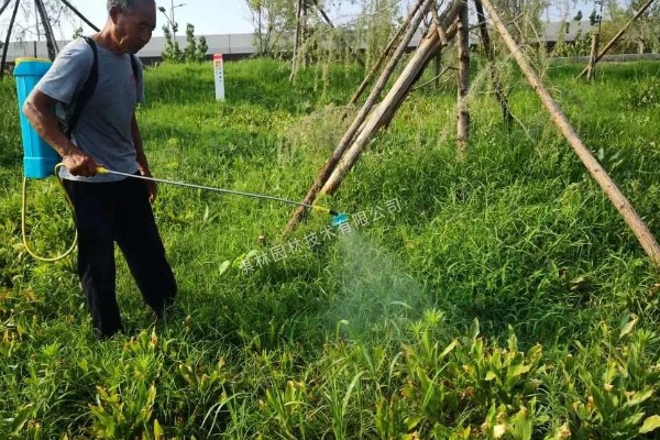 提高打药效果的方法,轮换用药可避免害虫产生抗药性