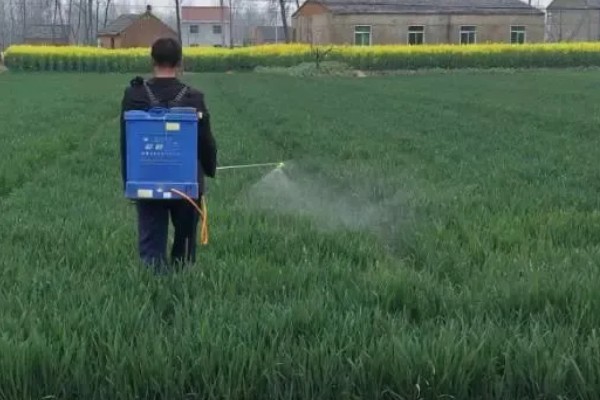 提高打药效果的方法,轮换用药可避免害虫产生抗药性