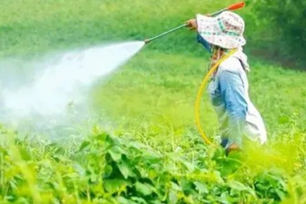 提高打药效果的方法,轮换用药可避免害虫产生抗药性