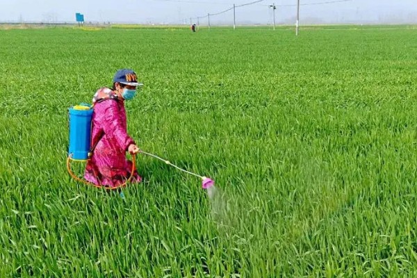 提高打药效果的方法,轮换用药可避免害虫产生抗药性