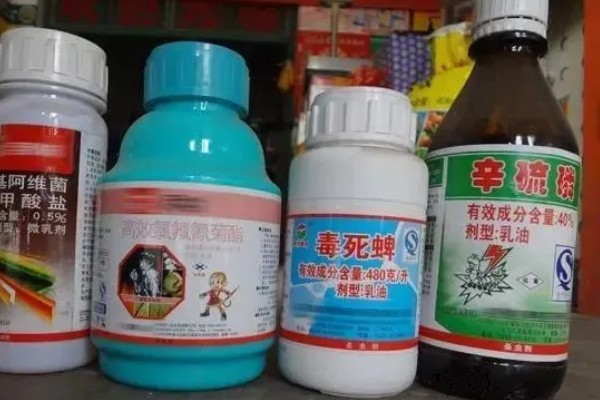 提高打药效果的方法,轮换用药可避免害虫产生抗药性