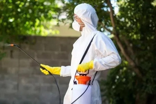 提高打药效果的方法,轮换用药可避免害虫产生抗药性