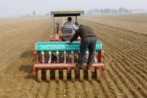 小麦的种植方法,种植春小麦要及时抢墒整地