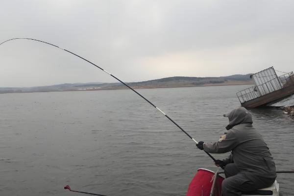 垂钓黑鲩鱼的饵料,使用蚯蚓、泥鳅等活饵效果较好
