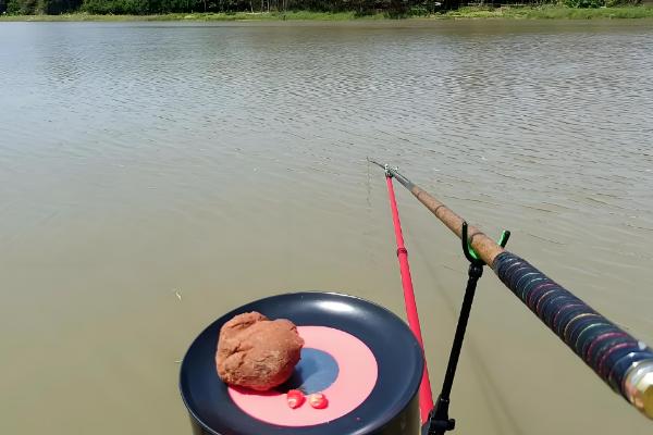 垂钓黑鲩鱼的饵料,使用蚯蚓、泥鳅等活饵效果较好