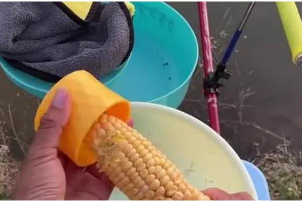怎样用玉米钓鲤鱼，需提前打窝
