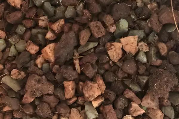 海豹多肉怎么养殖,每次浇水都要浇透