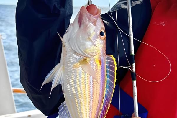 带孔鱼钩的绑线方法，按以下四个步骤进行