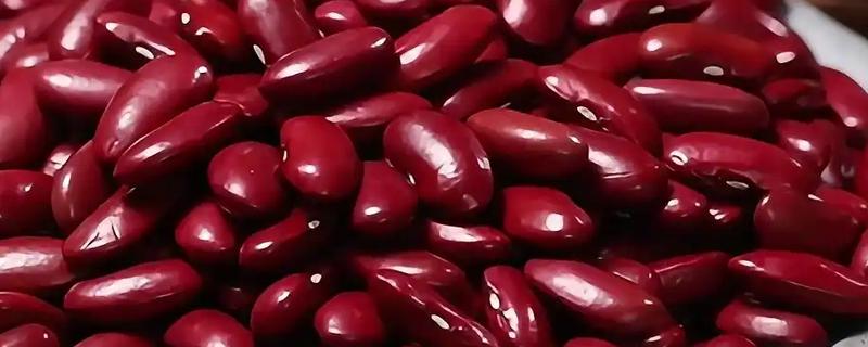 山西省岢岚县的特产，岢岚红芸豆畅销国际市场