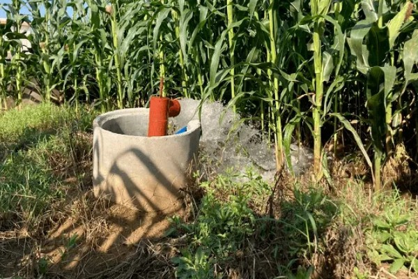 玉米的田间管理方法，拔节长穗期要及时浇水