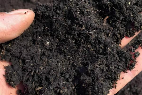 兰花的栽培方法，选择透气能力强且养分较多的土壤