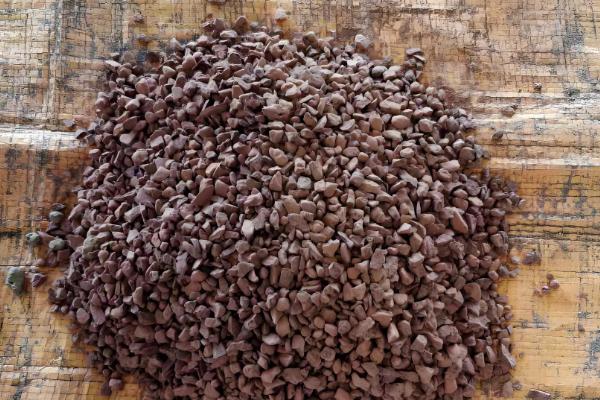 老鸦柿种子怎么催芽，可沙土催芽或清水浸泡催芽