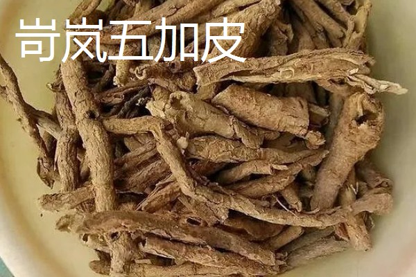 山西省岢岚县的特产，岢岚红芸豆畅销国际市场