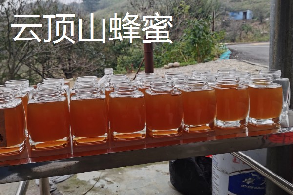 山西省岢岚县的特产，岢岚红芸豆畅销国际市场