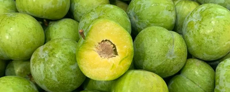 重庆巫山的特产，巫山魔芋常年免检出口于日本