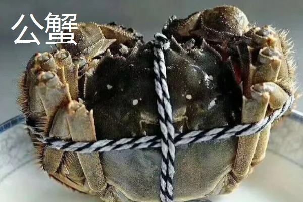 大闸蟹要买公的还是母的，二者的黄金食用时间不同