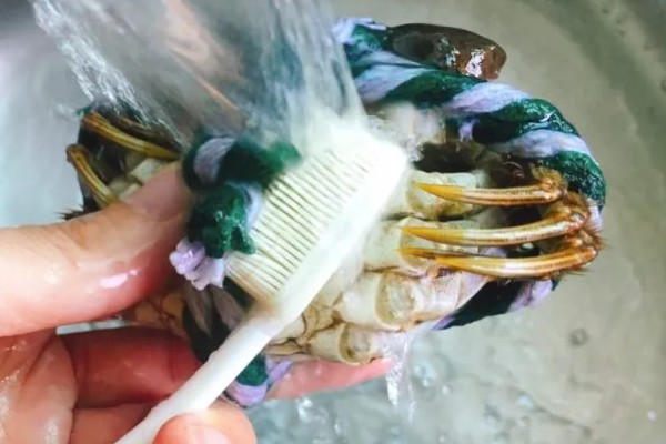 大闸蟹要买公的还是母的，二者的黄金食用时间不同