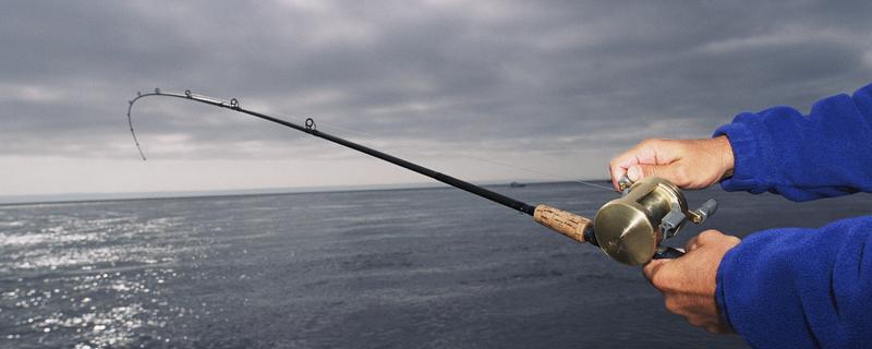 用什么路亚竿钓翘嘴鱼，幻翎、猛禽等品牌值得选择