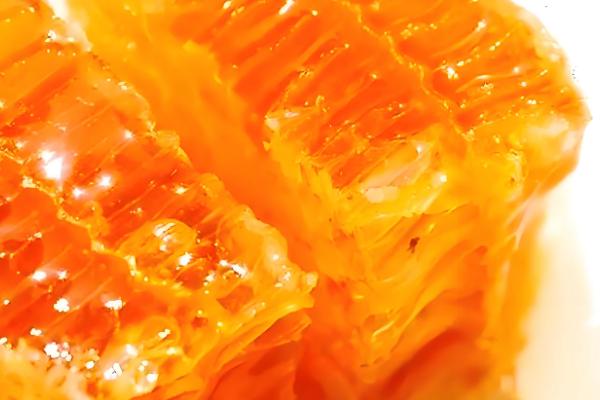 蜂蜡的简介,属于工蜂分泌的脂肪性物质