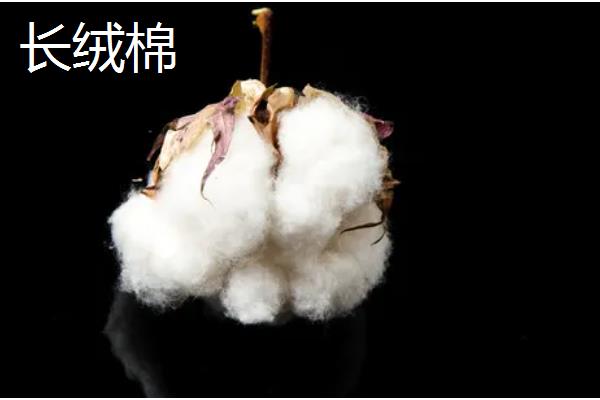 新疆棉花的采摘时间，南疆一般在8月中下旬采摘