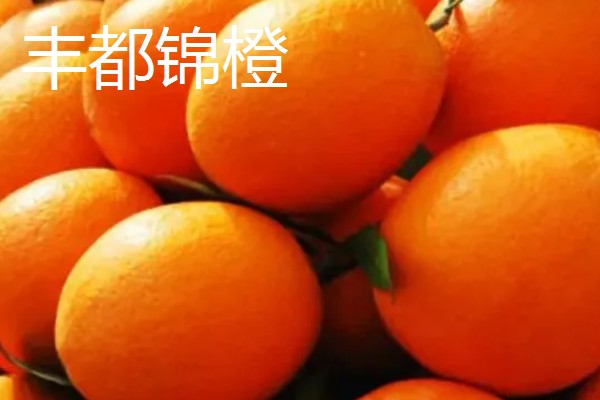 重庆巫山的特产,巫山魔芋常年免检出口于日本