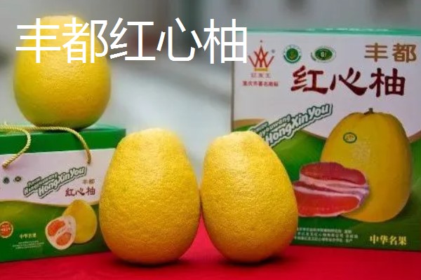 重庆巫山的特产,巫山魔芋常年免检出口于日本