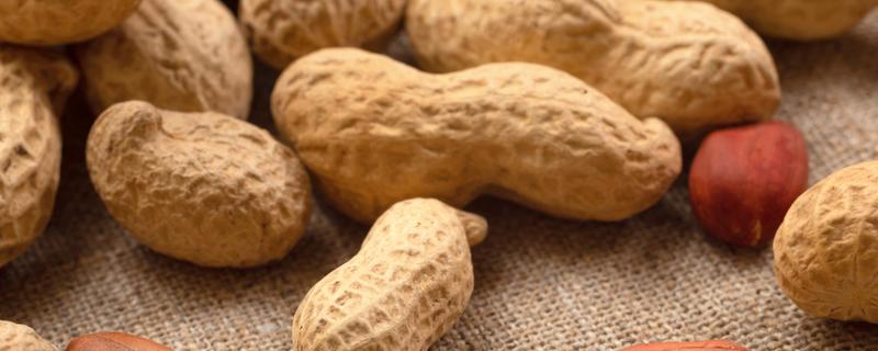 花生有什么特点，良质花生颗粒较饱满、形态完整