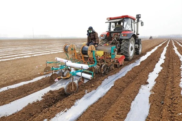 黑龙江的玉米品种，有克玉17、鑫科玉1号等