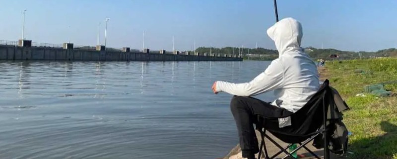 野钓鲤鱼选择哪种小药，春季至秋季以果味、甜味、奶味为宜