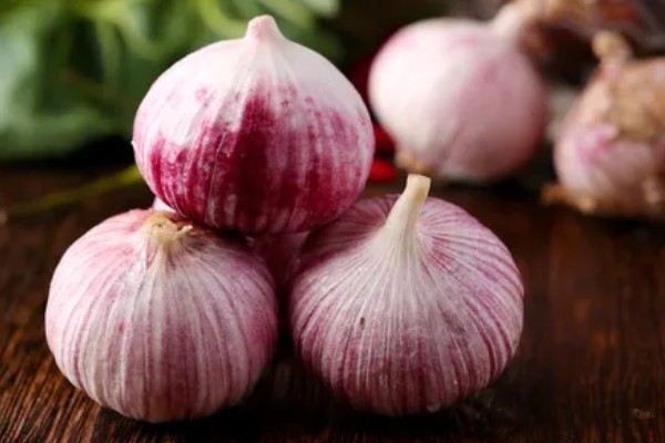 独头蒜的种植技术，可选早熟、瓣小的蒜种进行播种