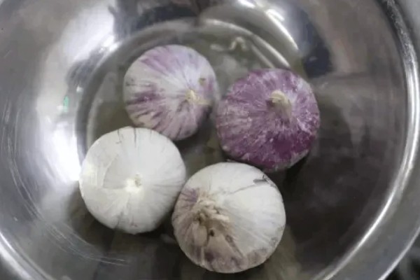 独头蒜的种植技术，可选早熟、瓣小的蒜种进行播种