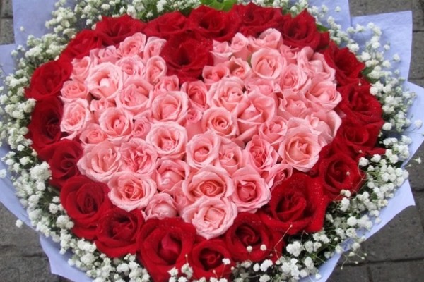 77朵玫瑰花代表的含义，寓意久别重逢的开心与思念