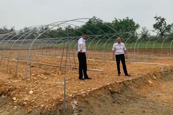 养殖螳螂的方法，可投喂蚜虫等活饵