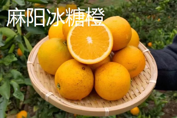 橙子软了能不能食用，只要没变质就可以吃