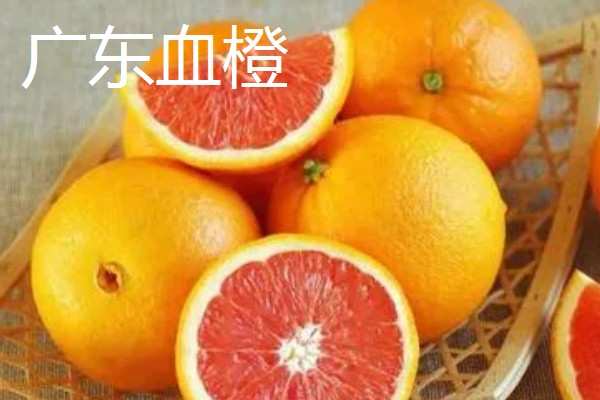 橙子软了能不能食用，只要没变质就可以吃