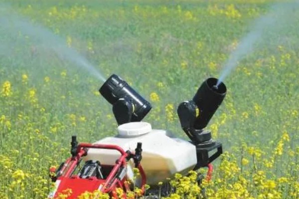 稻茬油菜受冻害后如何解决,及时清挖三沟排水