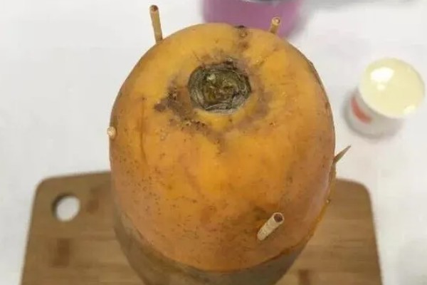 木瓜怎么吃，可熬汤也可做成凉拌青木瓜丝