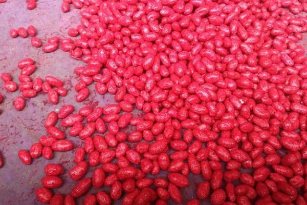 花生怎么种植,浸种消毒后再撒播