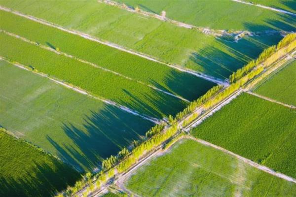 什么是农业,劳动对象是有生命的动植物
