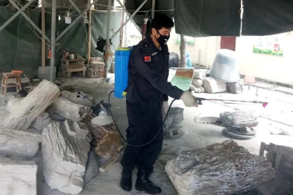 羊肚菌与竹荪有什么区别,前者属于羊肚菌科、后者属于鬼笔科