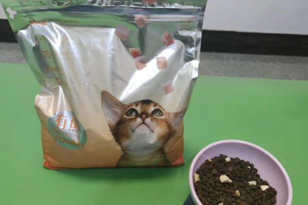 选什么猫粮，自制猫粮、商品化猫粮都很合适