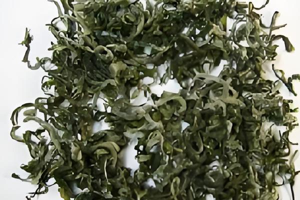 黄茶的代表性的茶，有君山银针、霍山黄芽等