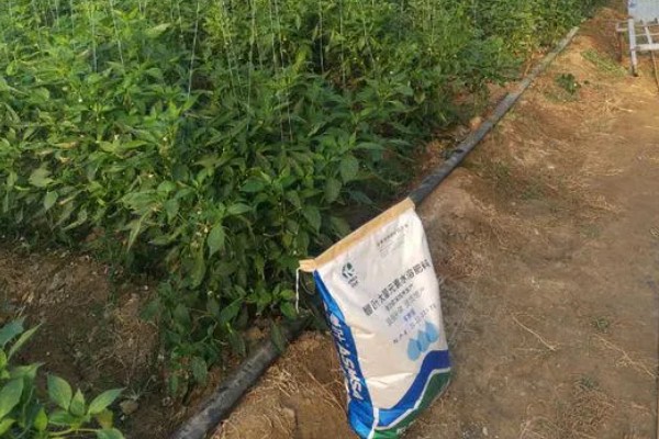 菜椒施什么肥,以有机肥为主