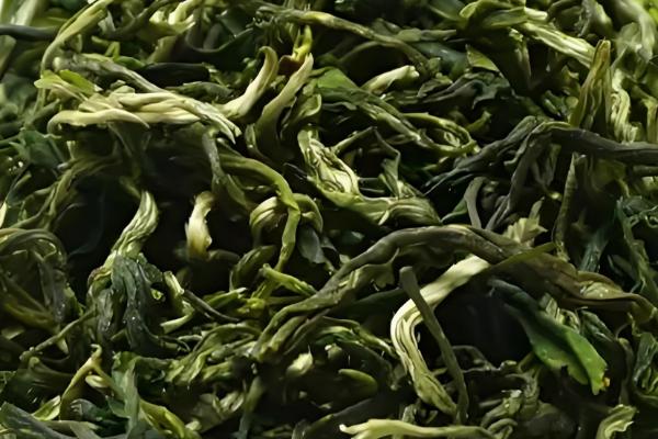 黄茶的代表性的茶，有君山银针、霍山黄芽等