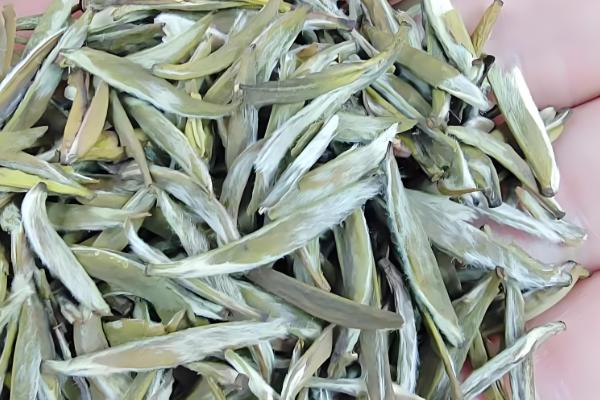 黄茶的代表性的茶，有君山银针、霍山黄芽等