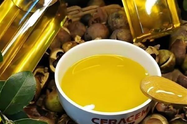 臭豆腐是什么地方的特产，是长沙、廊坊市、大悟县等地的特产